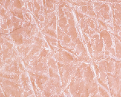 乾燥肌をや小じわが気になる